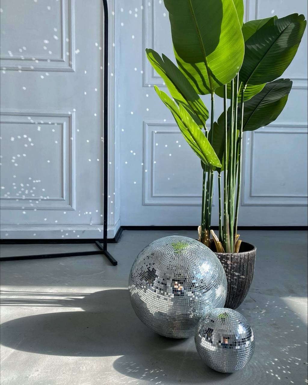 Белый зал. Фотостудия Баланс Белого Курган