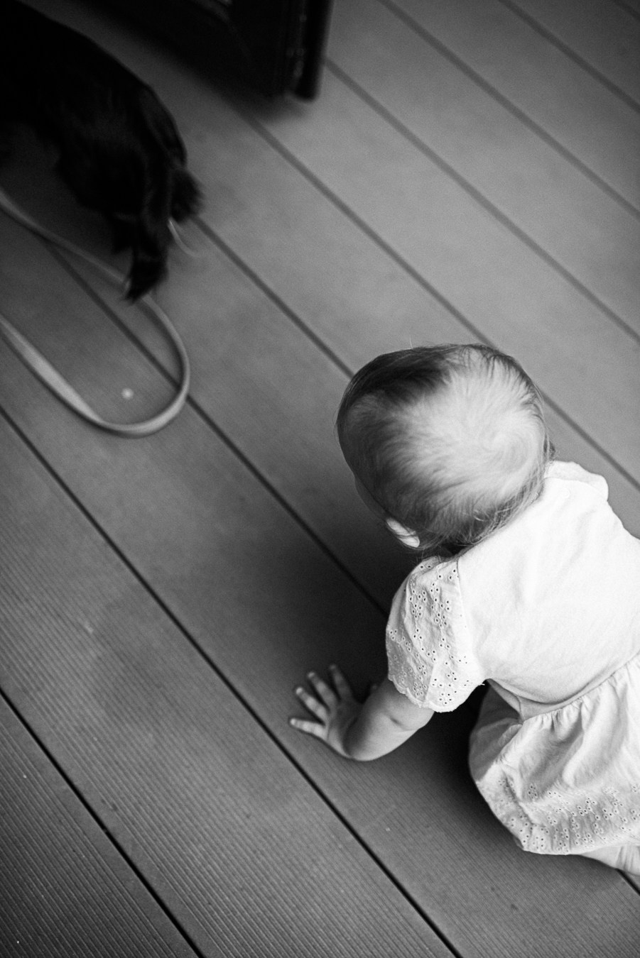 Коля, Ксюша, Саша, Андрей, Кира и бабушки | на даче