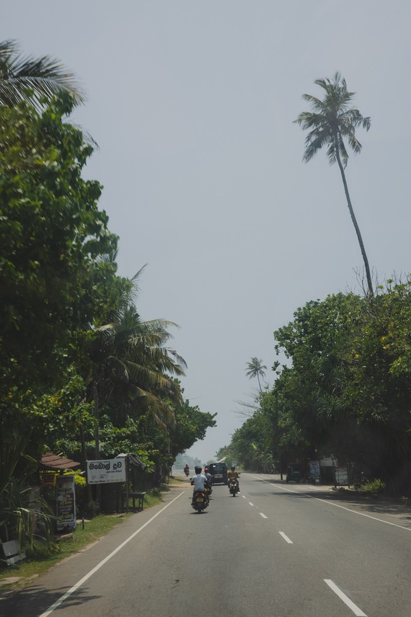 Шри-ланка. Ретрит «Bodу.Mind.Soul» Март 2024 Фото. Профессиональный фотограф Татьяна Евглевская