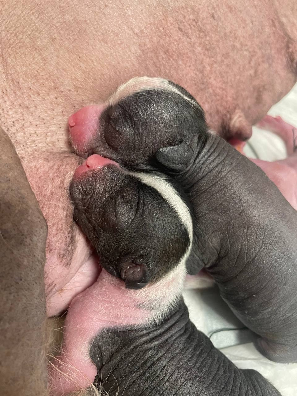 День Рождения