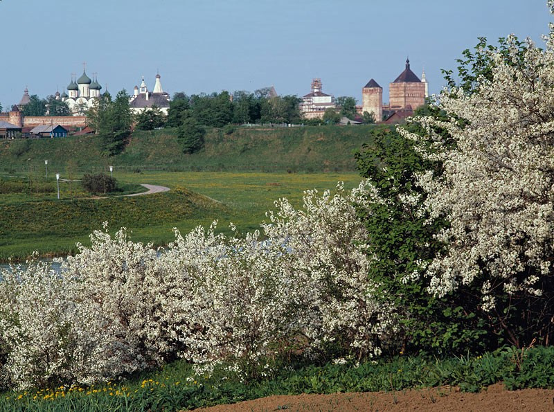 Покровский монастырь