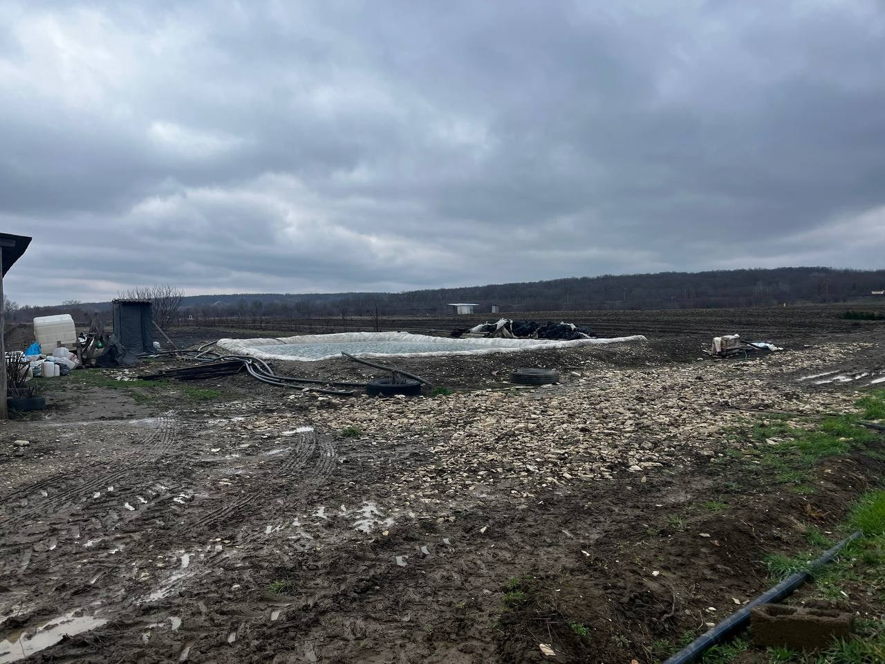 Агро Земельный массив Неберджаевская. Инвестиционный консалтинг Недвижимость