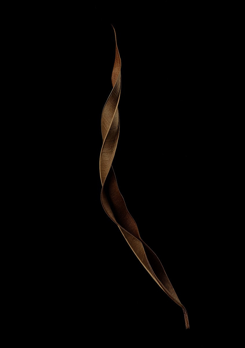 ANOTHER FORM