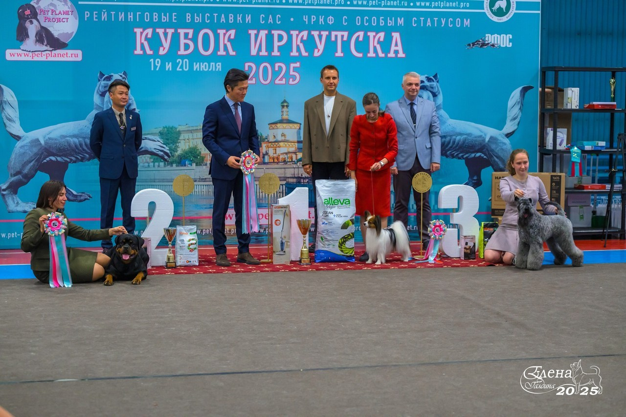 Отзывы. Фотограф анималист Елена Галдина г. Красноярск