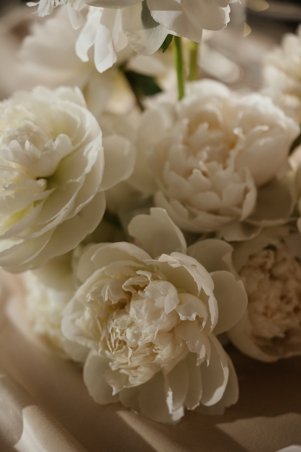 V & D. Свадебный фотограф Москва