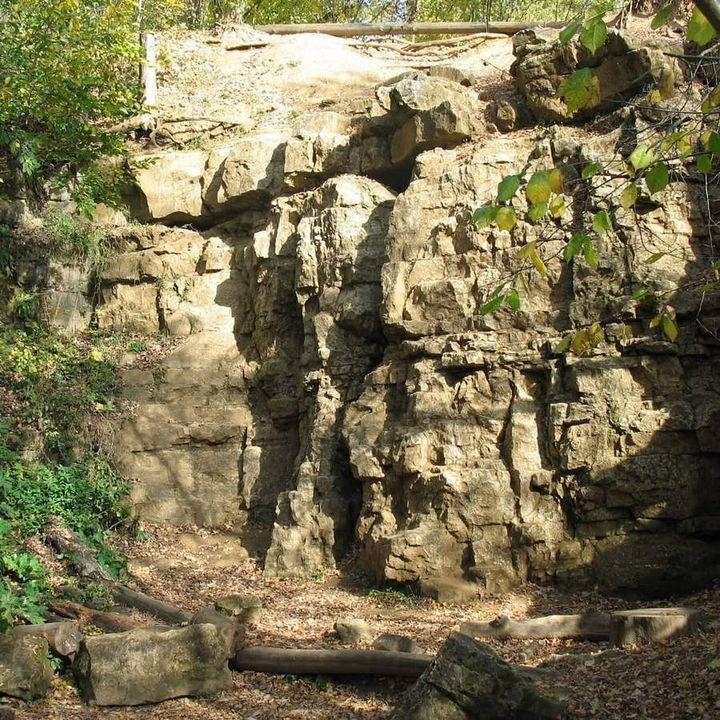 Фотосессия в загородном парке Подмосковья — тишина природы и зелёные просторы