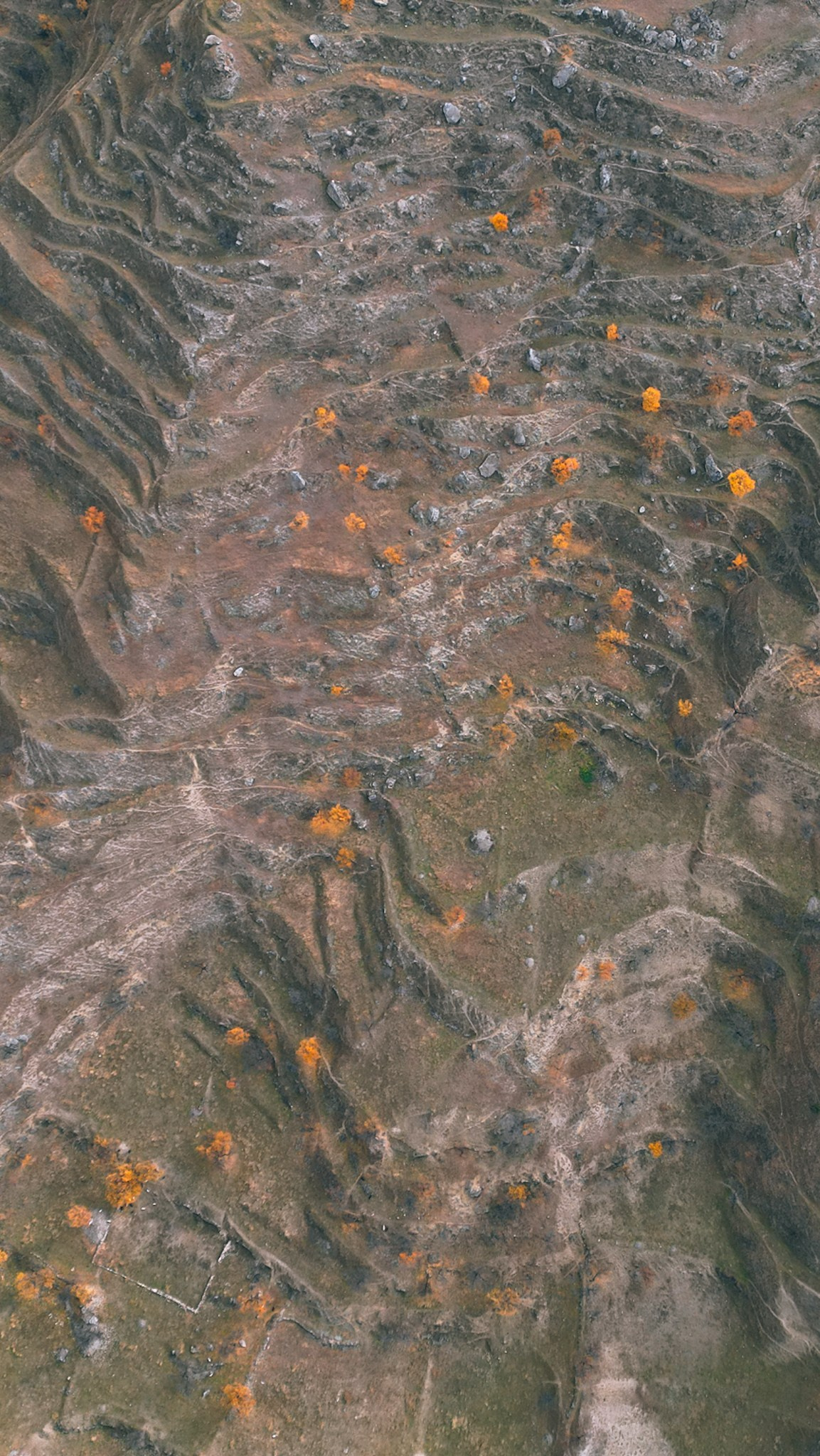 Дагестан 2023. Человек с фотокамерой