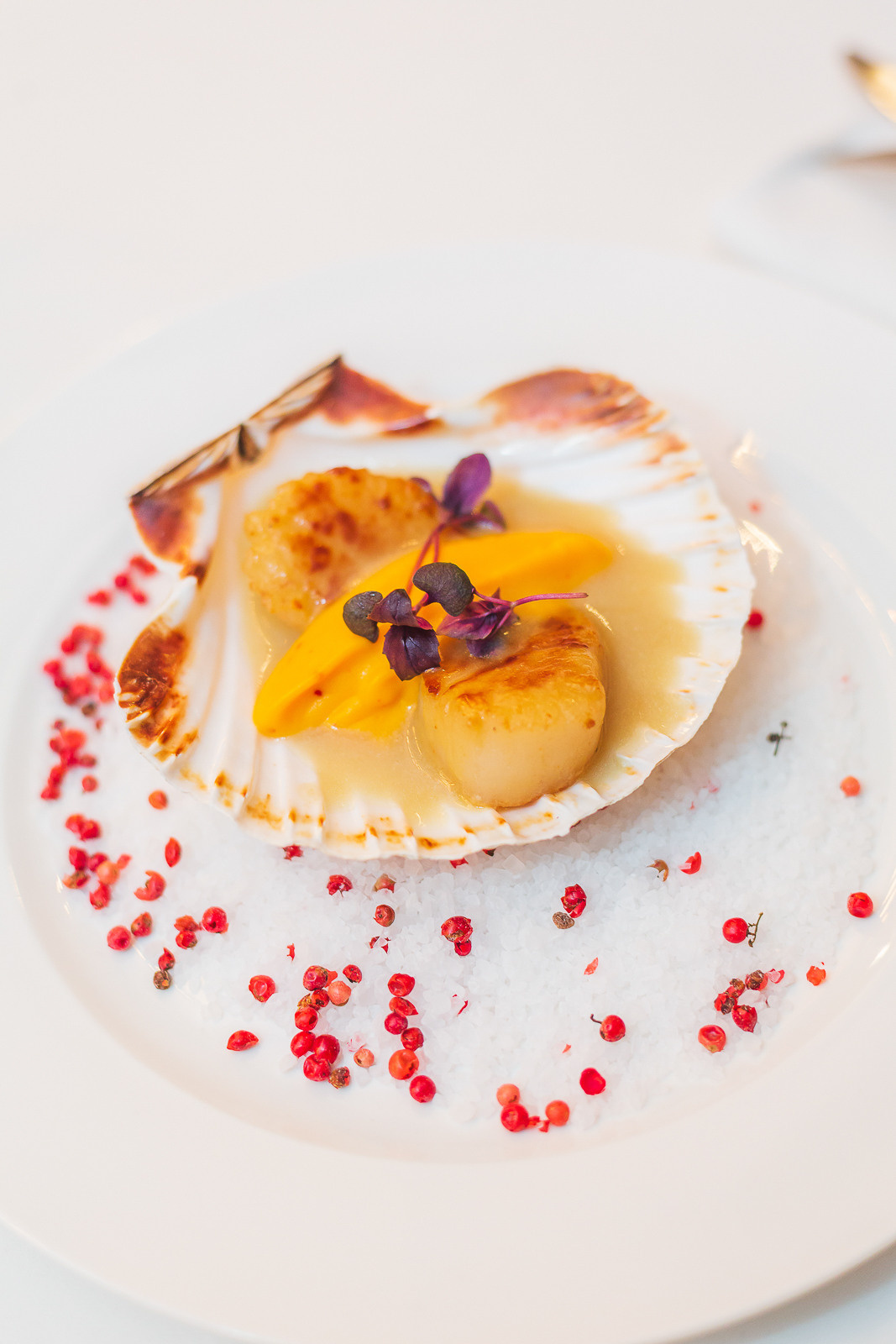 Sample_all. Фотограф Дмитрий Смелов