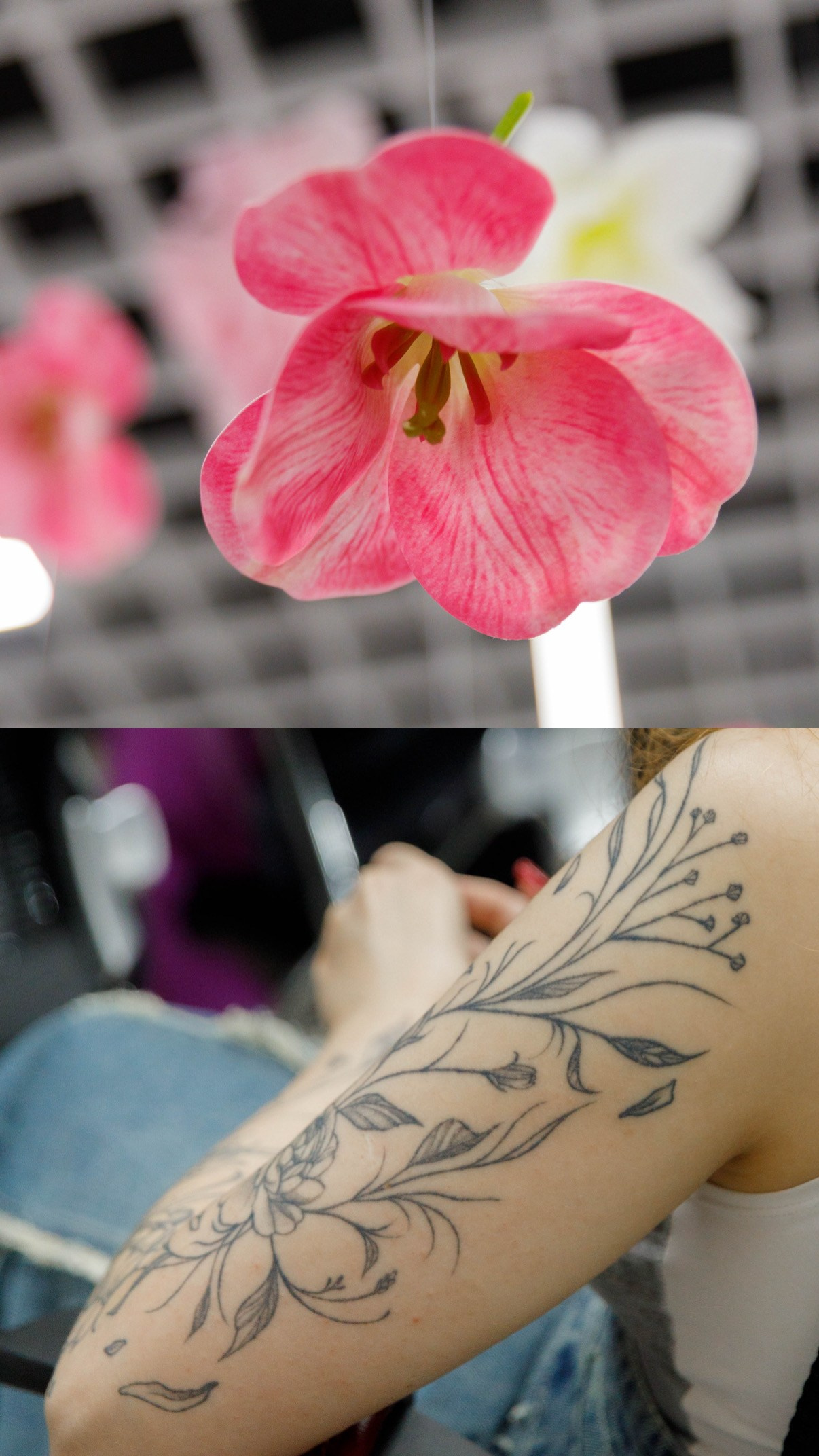 ANGIOPHARM cosmetics. Клиентский день. Репортажный фотограф в Новосибирске Алена Помазунова