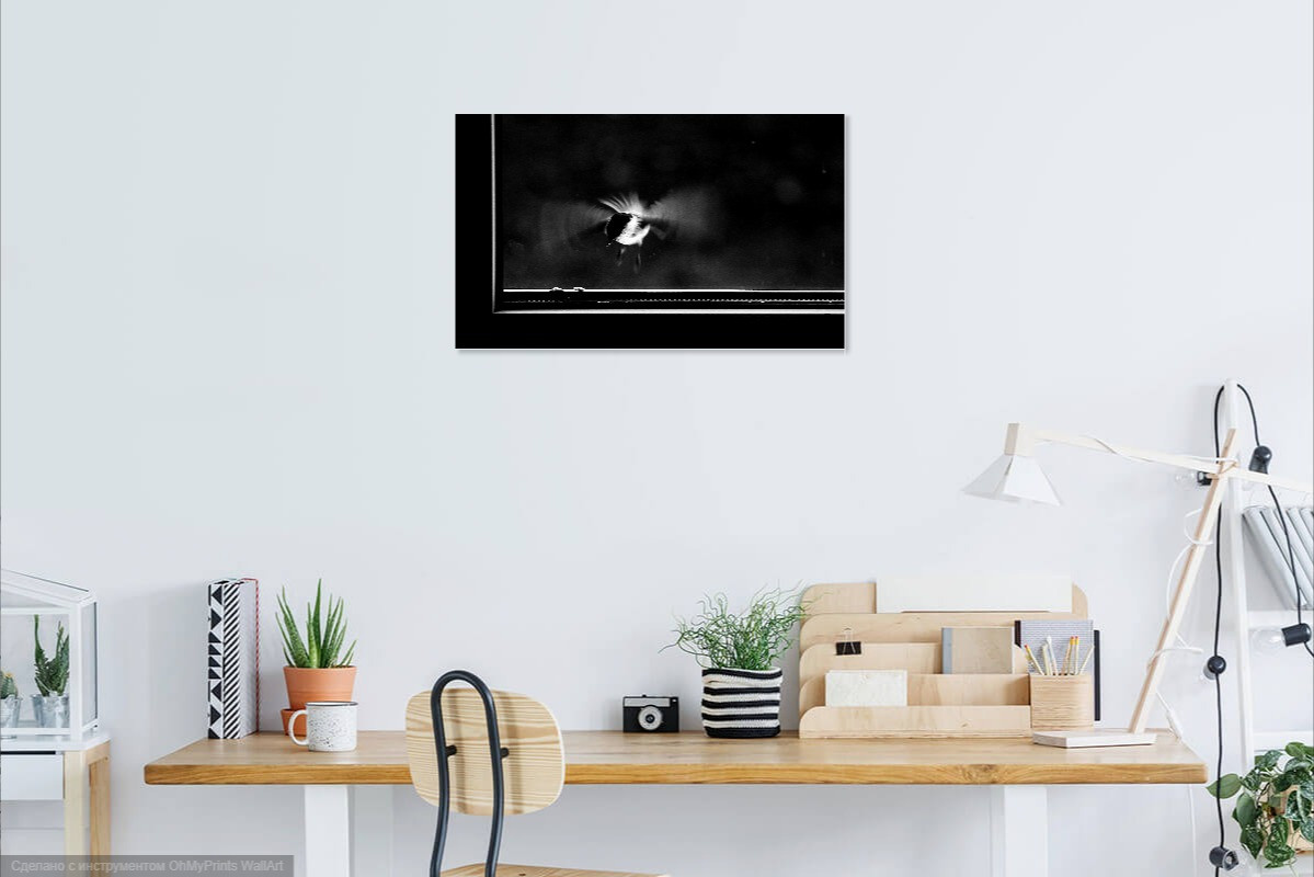 Визуализация моих картин (visualization of my paintings in the interior). Фотограф (photographer) Lischinski Vitaliy