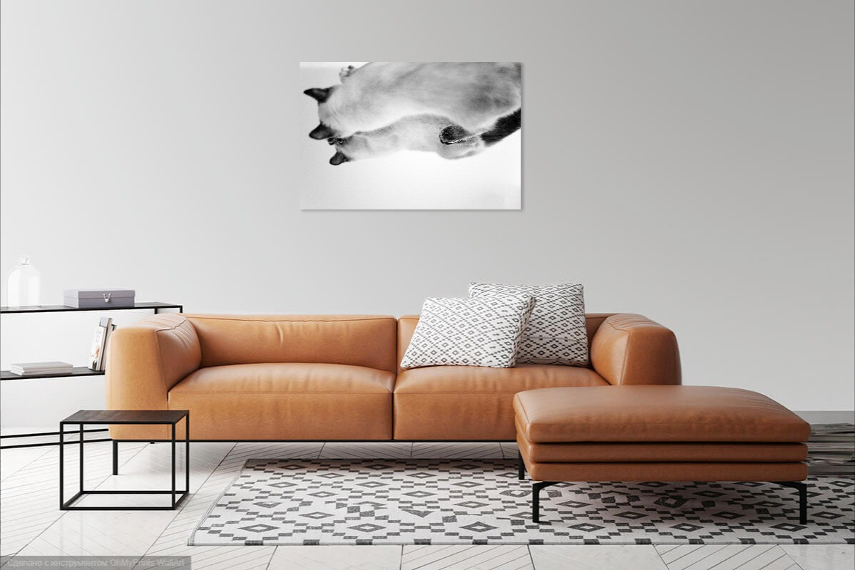 Визуализация моих картин (visualization of my paintings in the interior). Фотограф (photographer) Lischinski Vitaliy