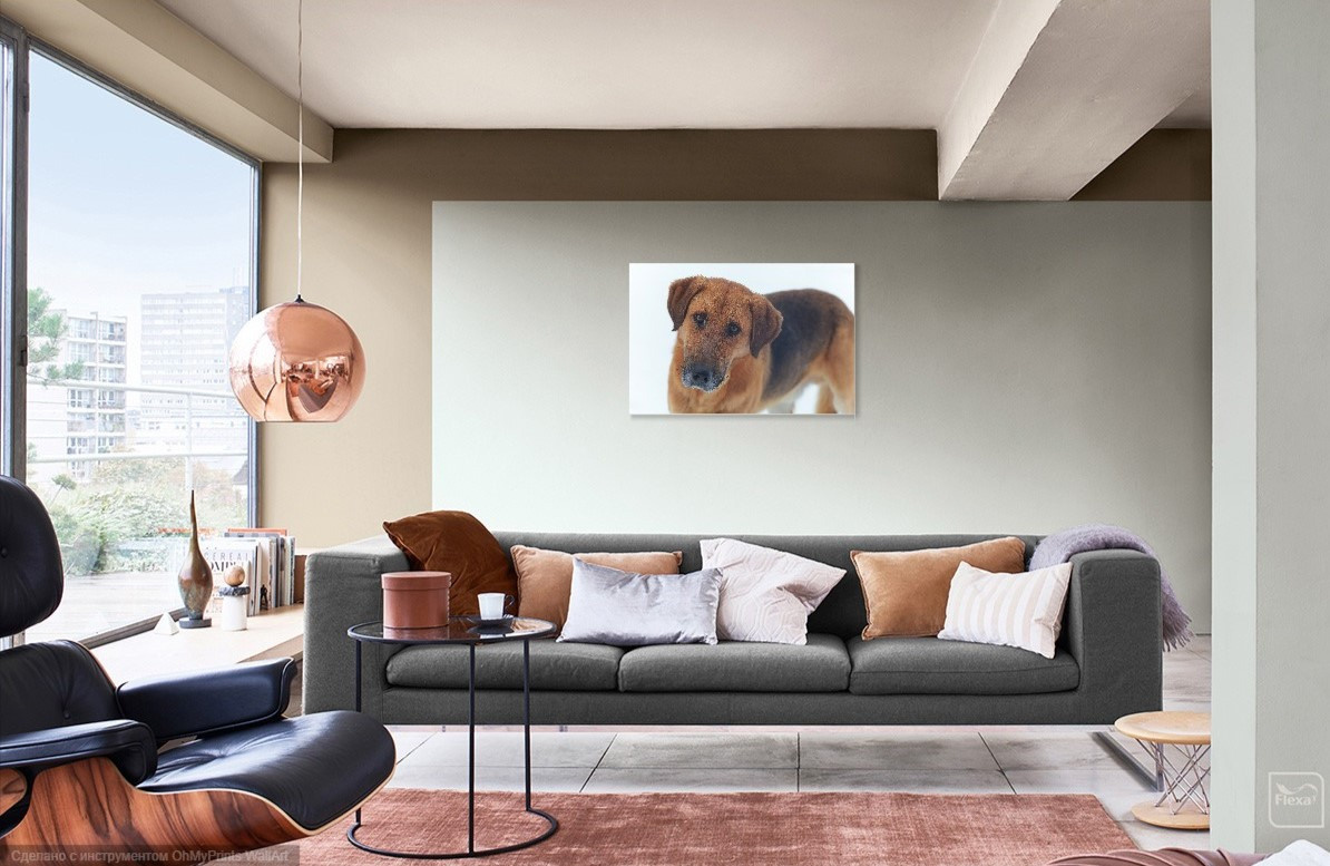 Визуализация моих картин (visualization of my paintings in the interior). Фотограф (photographer) Lischinski Vitaliy