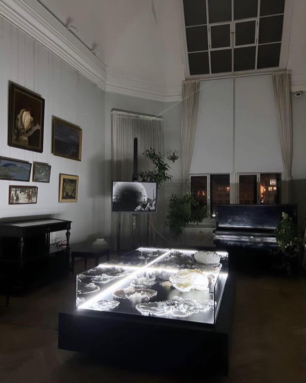 Сад Воспоминаний. Anna Zavediy