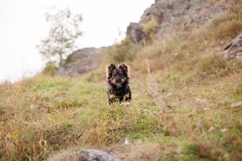 Красивое место для фотосессии влюбленных. Свадебный и семейный фотограф Ксения Шекк Екатеринбург