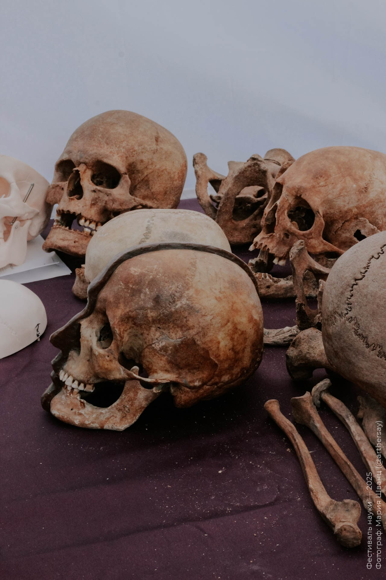 2025. Фотоальбом Фестиваля науки