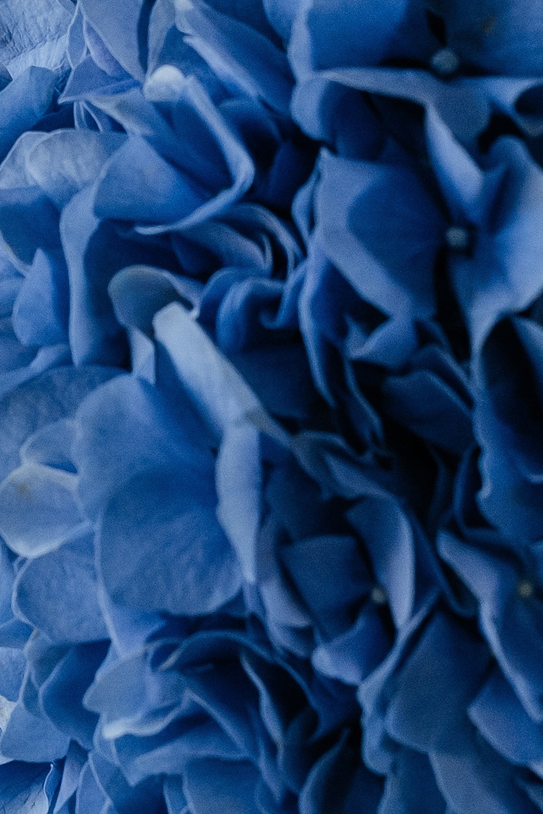 Валериан и Алина. Фотограф в Томске Ирина Павлуцкая