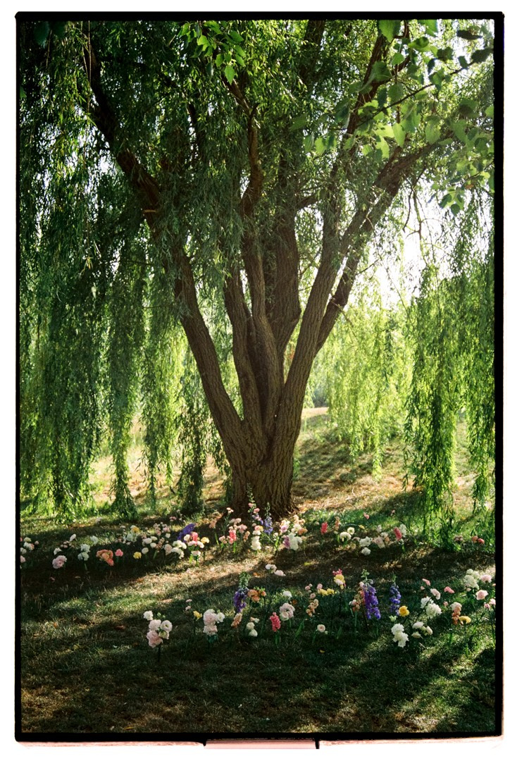 Пленка. Свадебный фотограф в Ростовe-на-Дону Анастасия Прутова