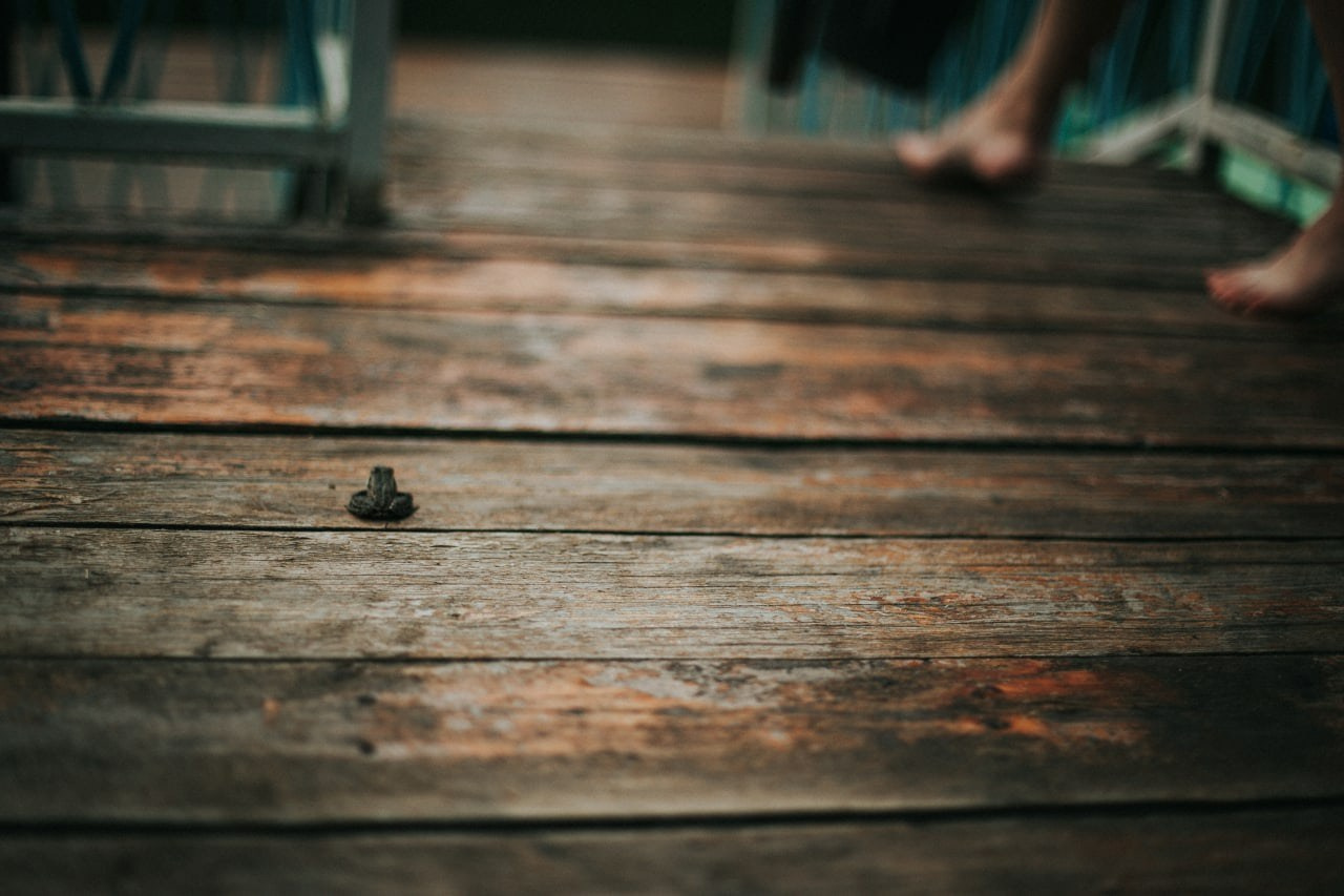 Катя Саратов. Фотограф в Нижнем Новгороде