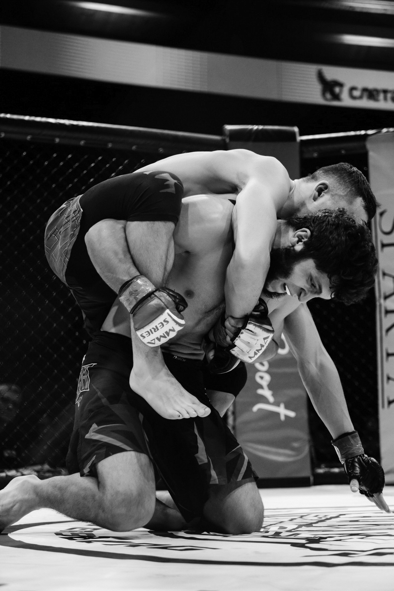 KINGDOM PROFESSIONAL FIGHT 5