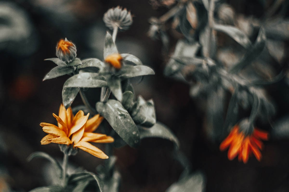 Контакты. Фотограф Татьяна Петухова