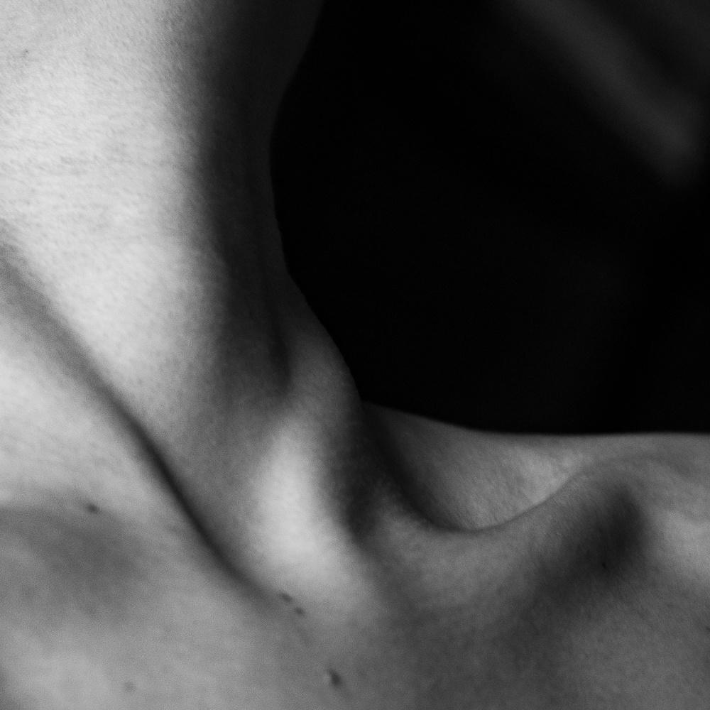 Женский портрет. Галерея