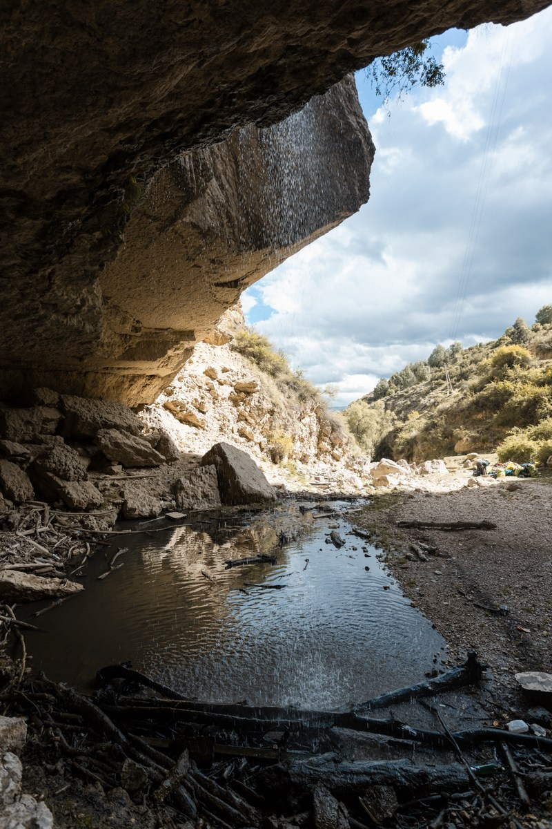 Природа. Photomantis