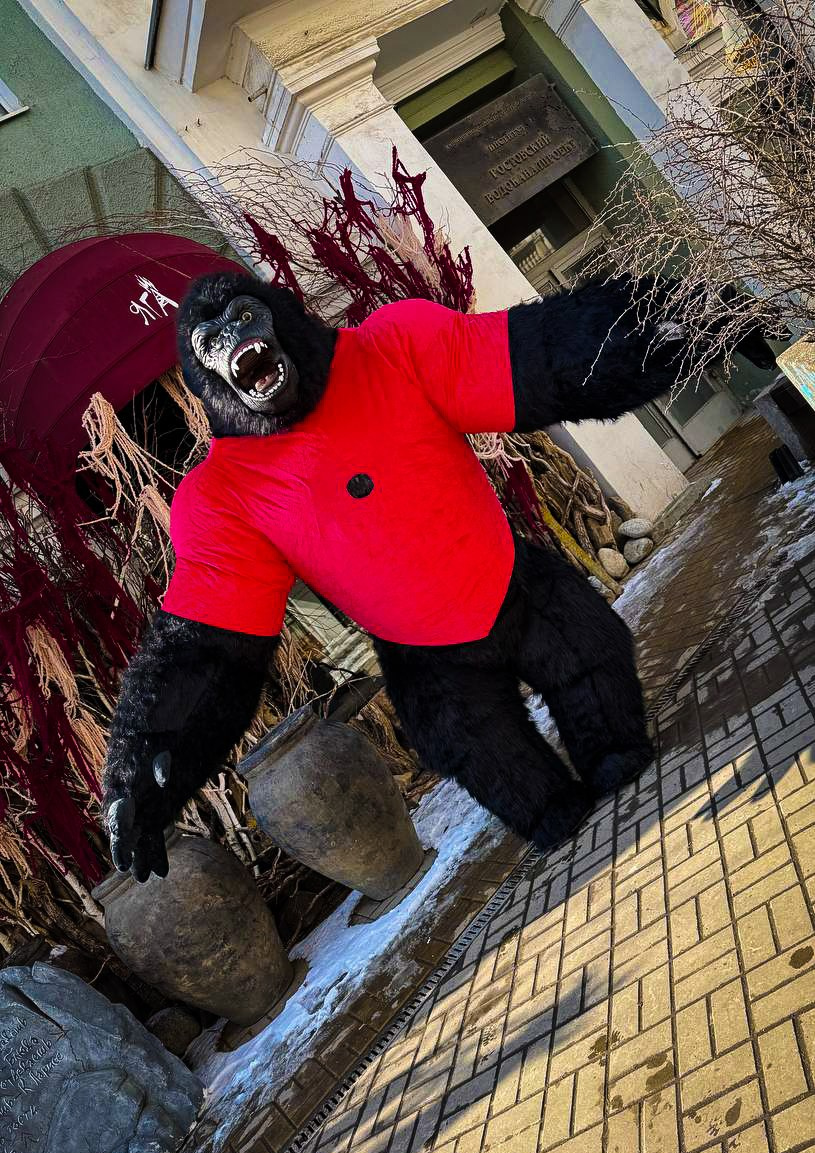 Эксперсс поздравление.ростовые куклы, медведь, панда, горилла. Организатор праздников. Ведущая Марина Гребенникова