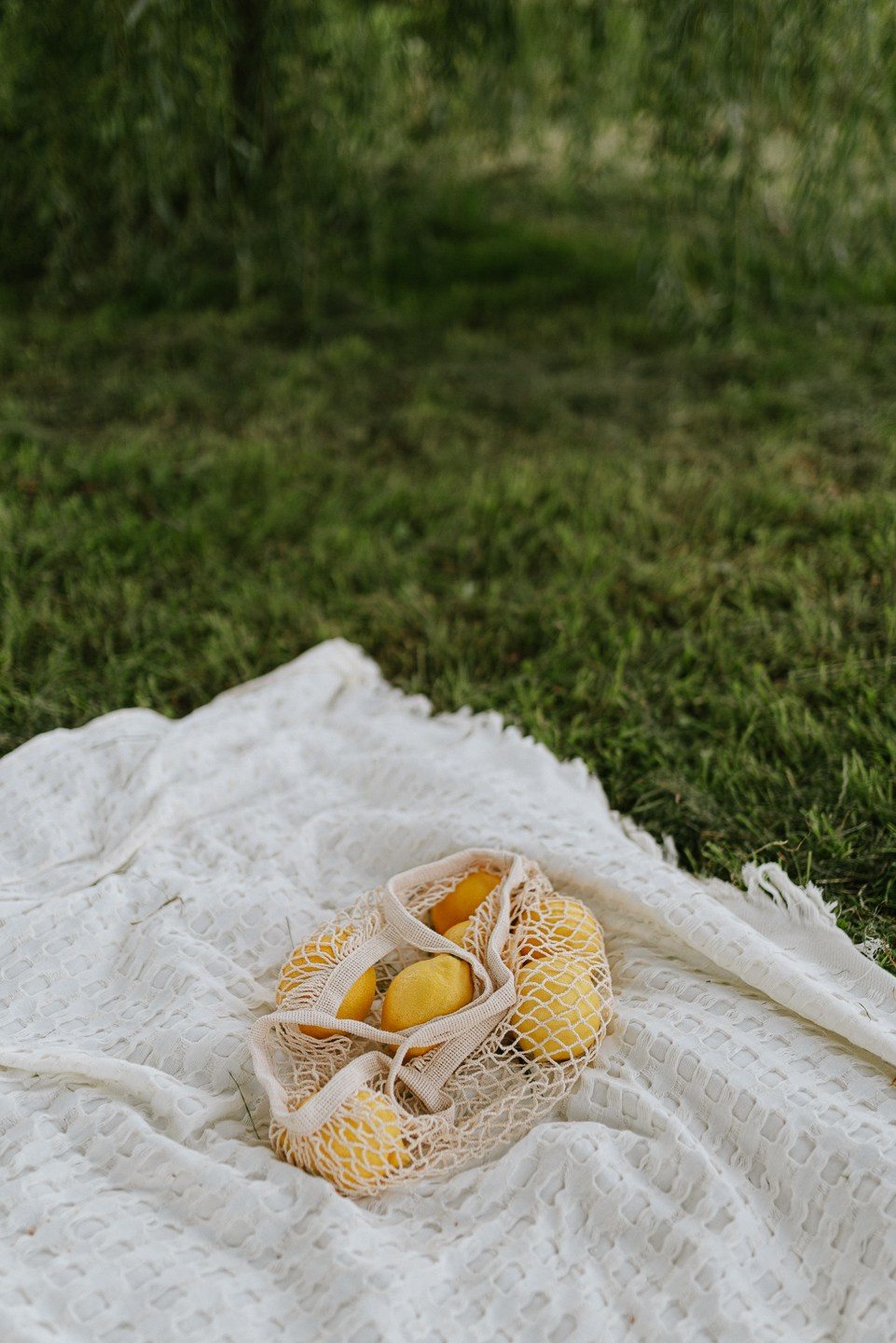 Август | на природе