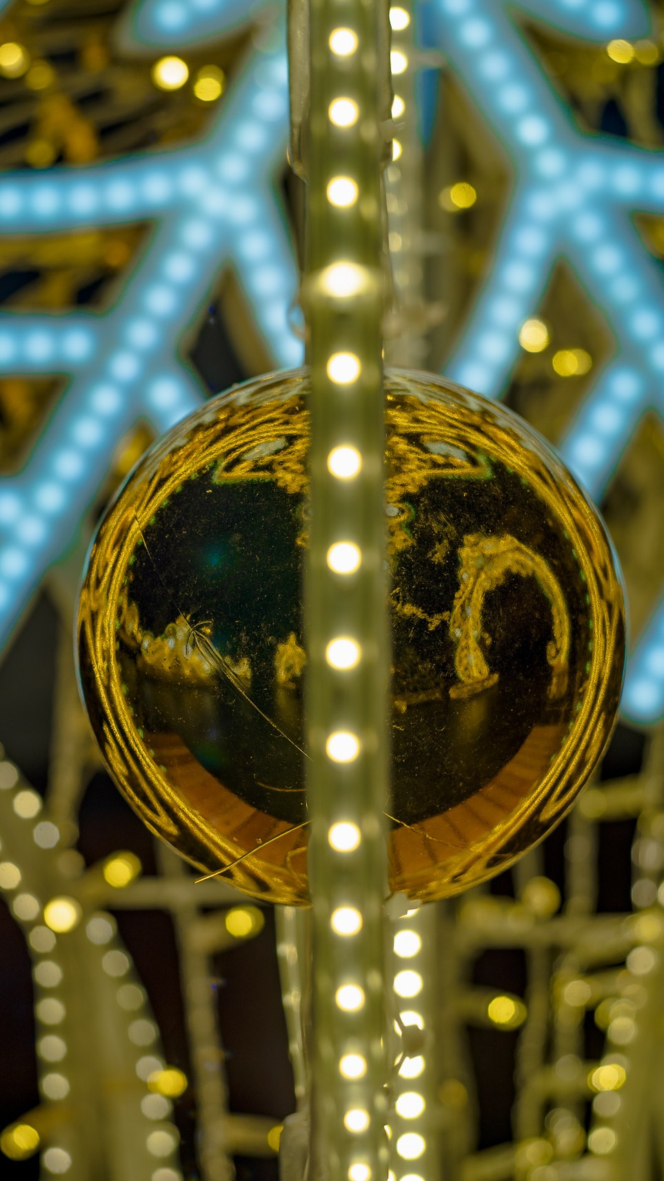 Москва. Ноябрь. 2024. Фотограф в Сочи Елена Лисотина. Фототуры в Сочи