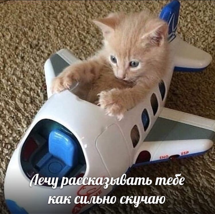 2025.08.20 Ярослав и Катя. Вова Вершинин - свадебный видеограф в Нижнем Новгороде, Москве и всей России