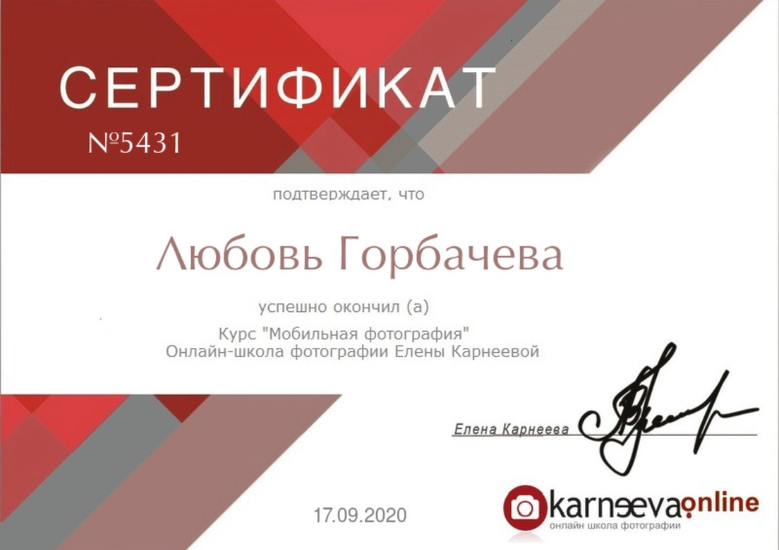 Мои дипломы. Детский и семейный фотограф в Ульяновске Любовь Горбачева