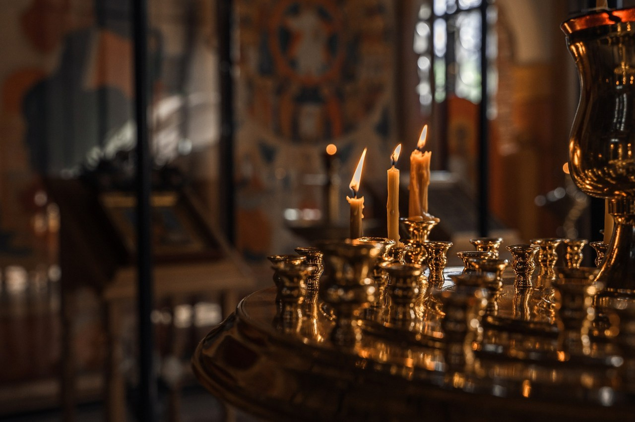 Отзывы о фотографии Шаховская