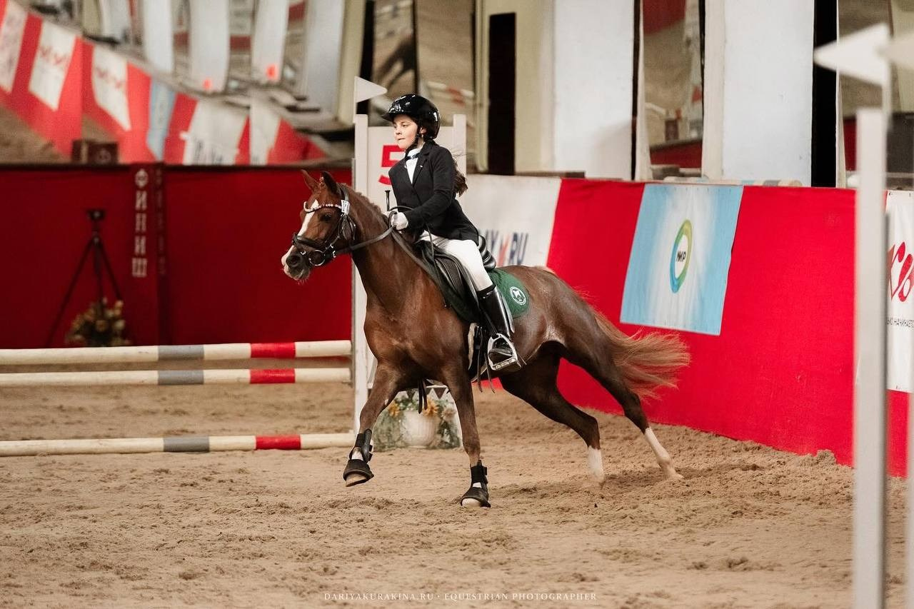 «КУБОК ИМЕНИННИКА» КСК «Измайлово». Конный фотограф Куракина Дарья • Фотосессии с лошадьми
