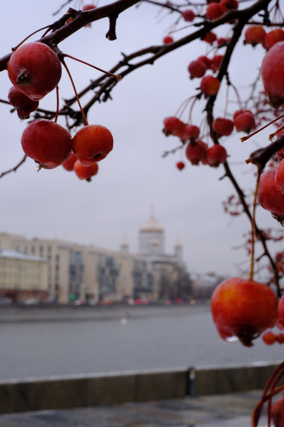 Московские прогулки. Фотограф в Москве Мария Лисичкина