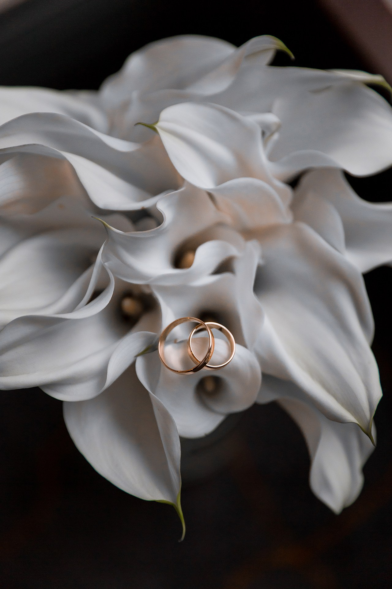 Богдана и Александр. Katerina Schastlivaya