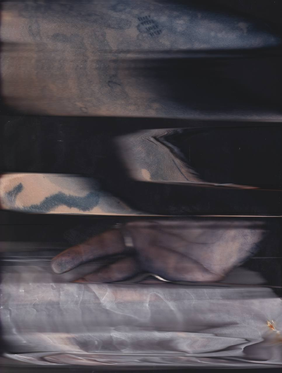 SEDIMENTS AND FOSSILS. Xexexena.ru