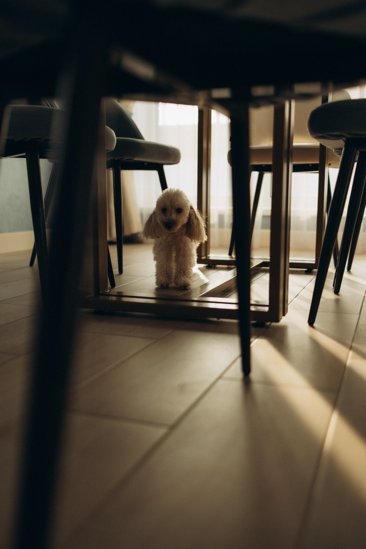 Ольга, София, Андрей, Даша и Настя. Семейный фотограф в Ижевске Даша Денисова