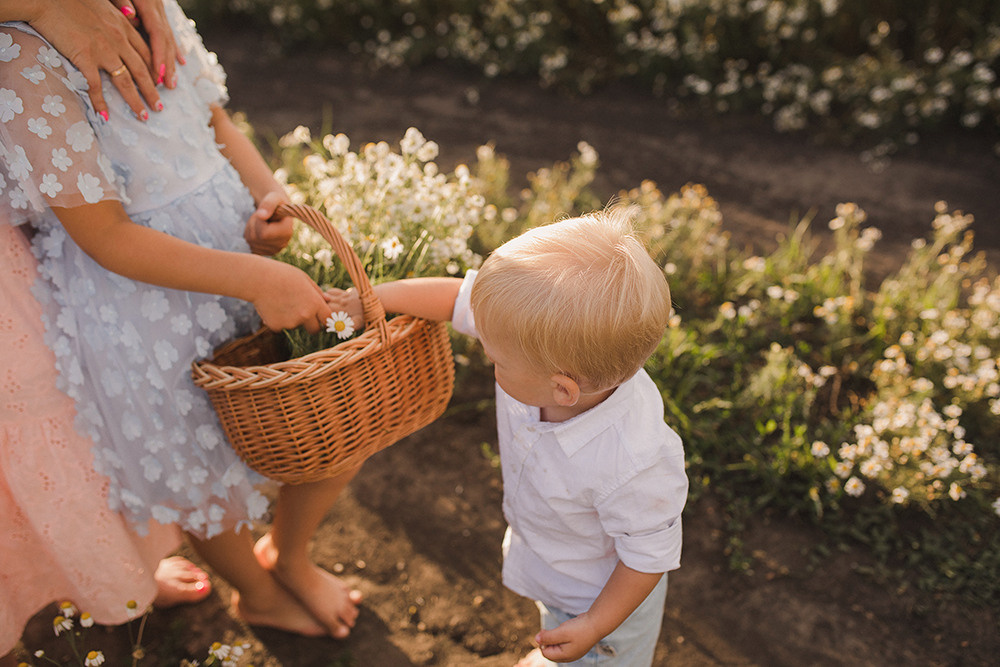 Ромашковые поля. Свадебный и семейный фотограф в Белгороде Евгения Курочкина