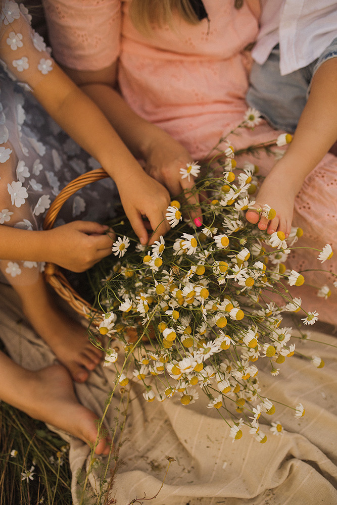 Ромашковые поля. Свадебный и семейный фотограф в Белгороде Евгения Курочкина
