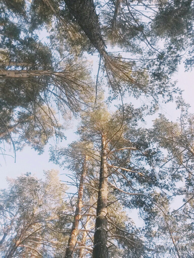 Февраль. Семейный, Свадебный фотограф СПБ Питер— Романова Екатерина
