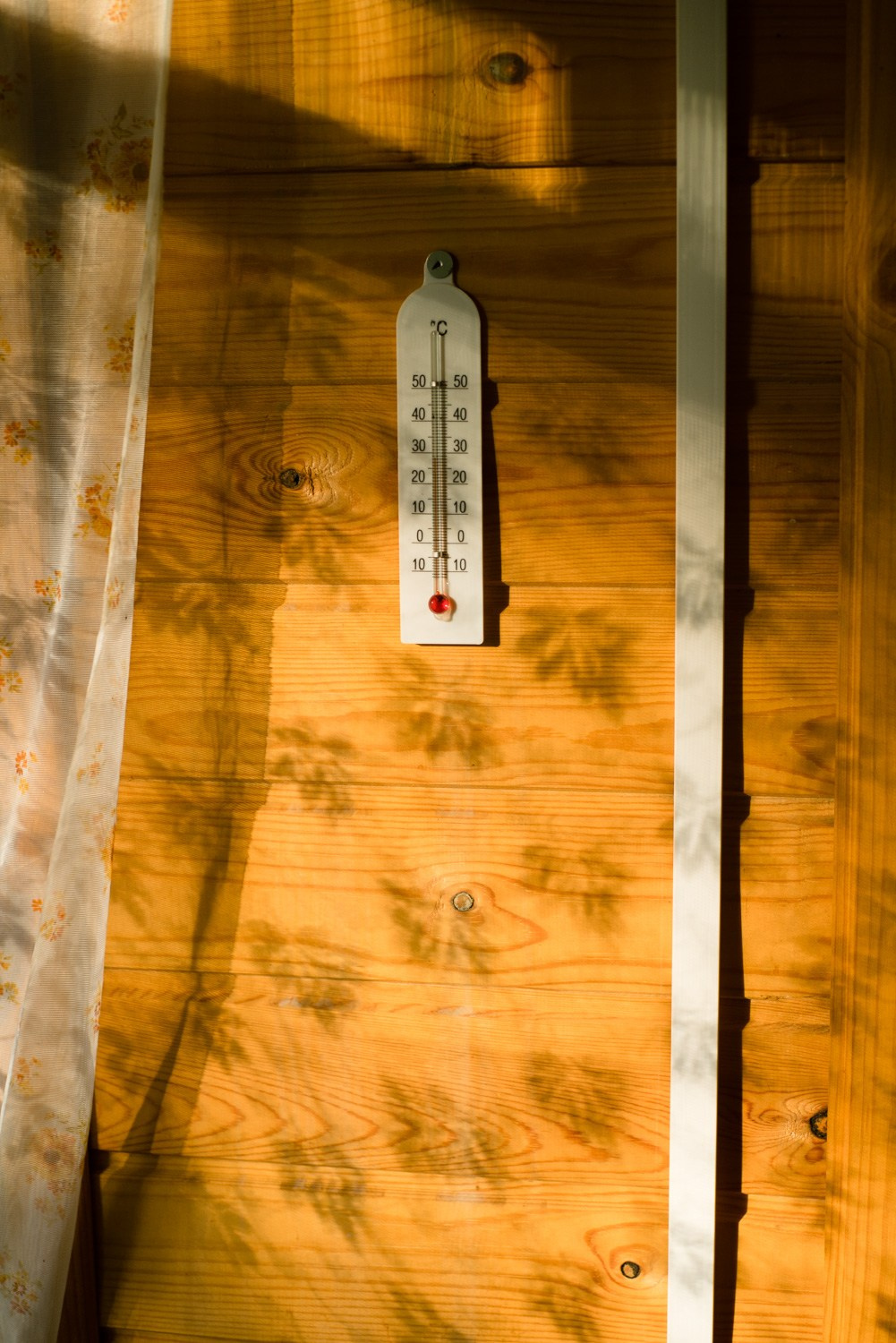 Summer Recurrences. Пётр Антонов