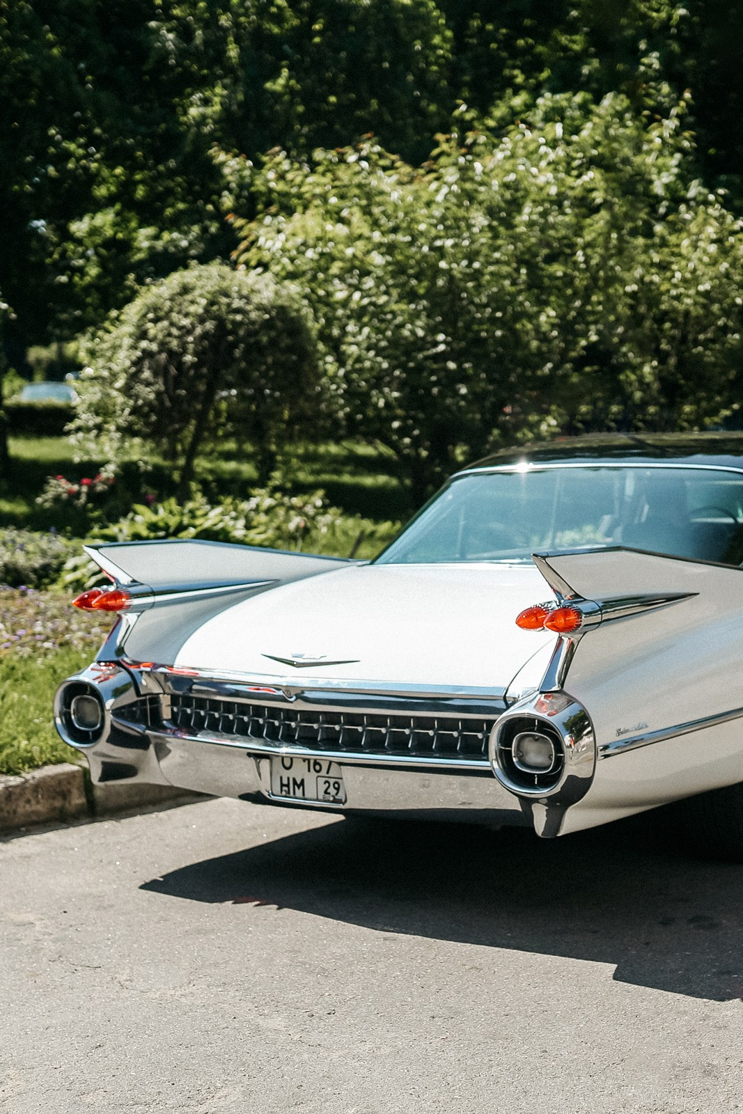 Свадебный фотограф в ЗАГС Питер