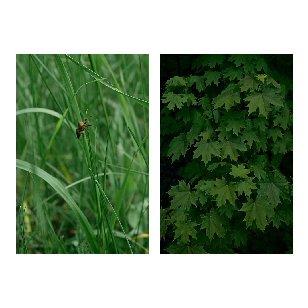 Творческие съемки. ТАТИ | Татьяна Тихонова | фотограф | Тольятти Самара