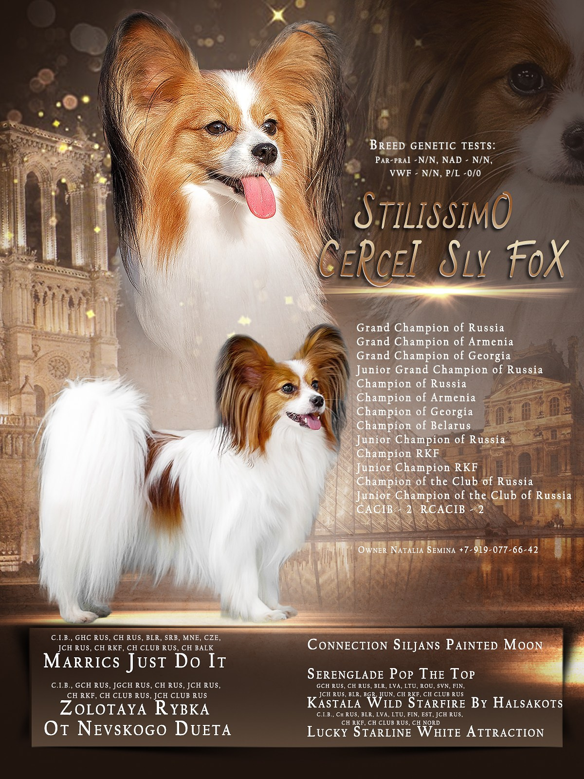 Презентации. Фотограф — анималист в Туле Юлия Лето