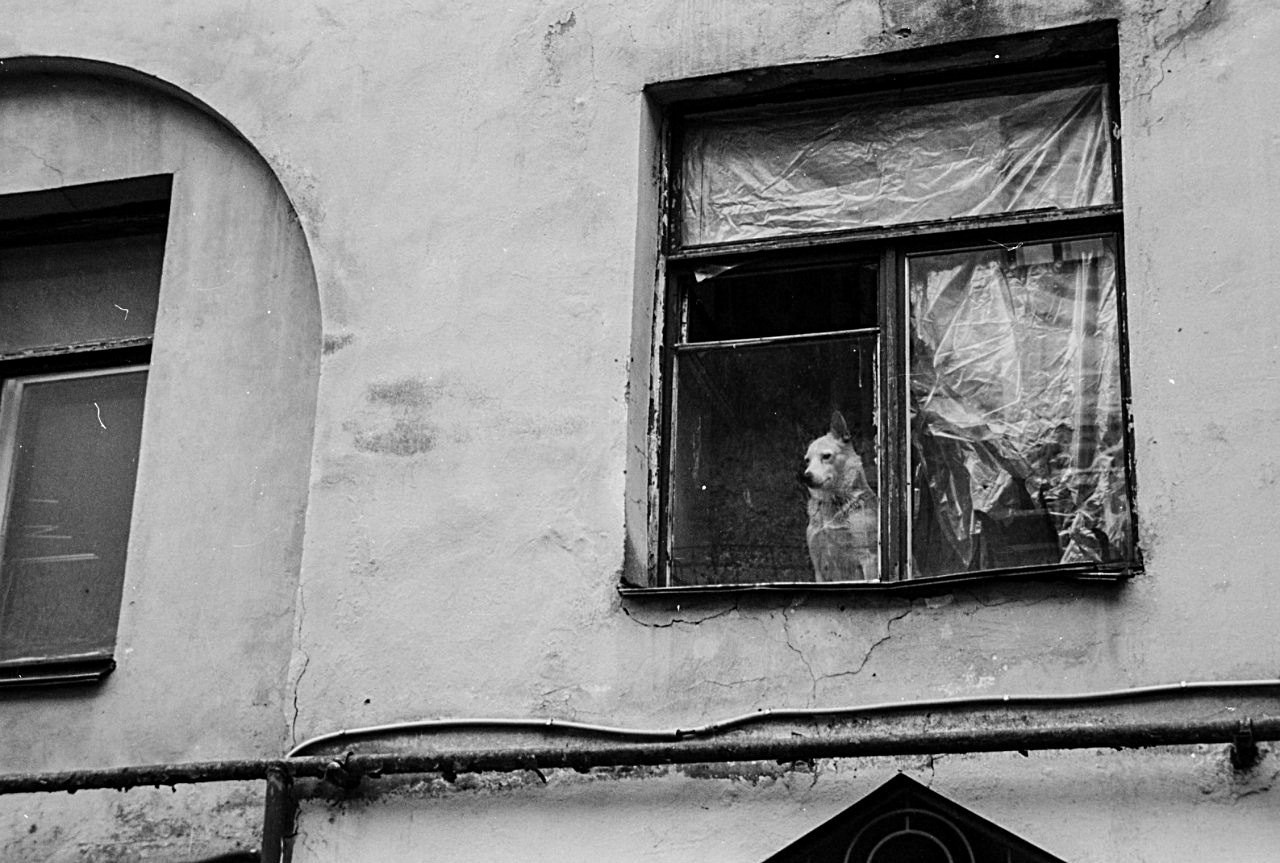 Вся Россия. Фотограф Cyberkyrie