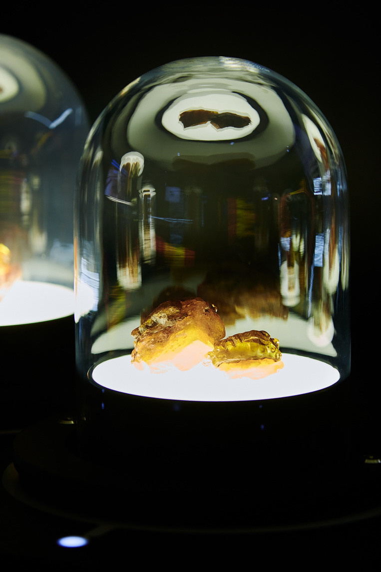 Янтарная галерея. Alena Nezalenova