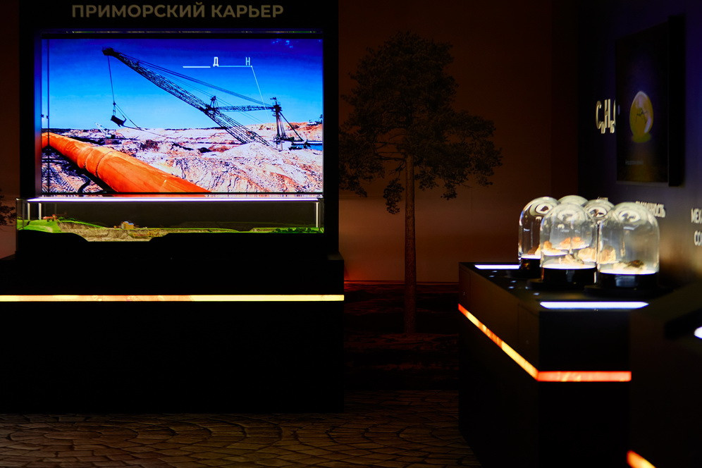 Янтарная галерея. Alena Nezalenova