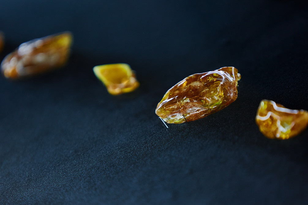 Янтарная галерея. Alena Nezalenova