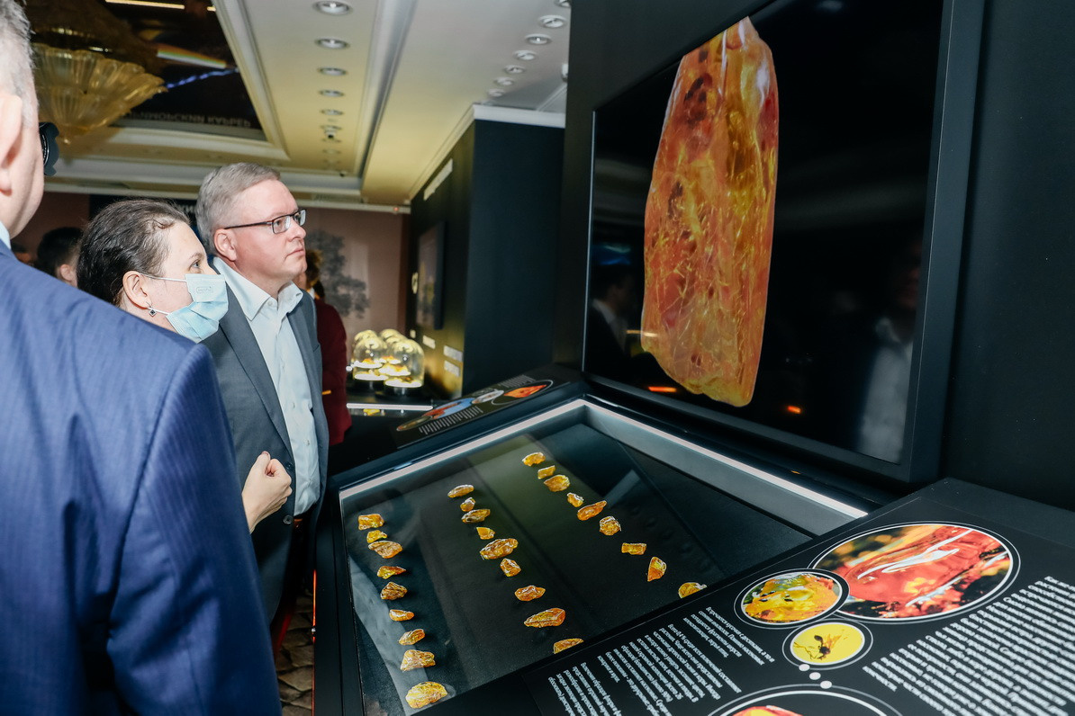 Янтарная галерея. Alena Nezalenova