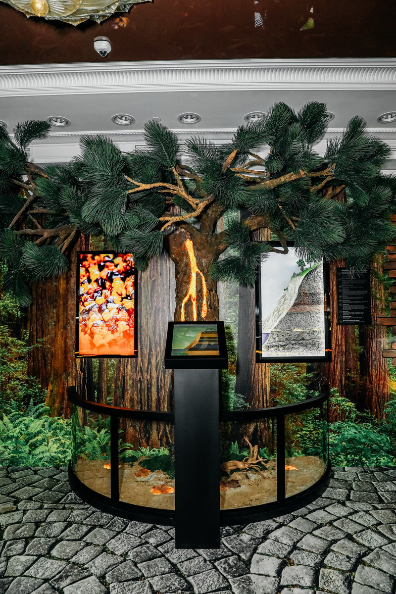 Янтарная галерея. Alena Nezalenova